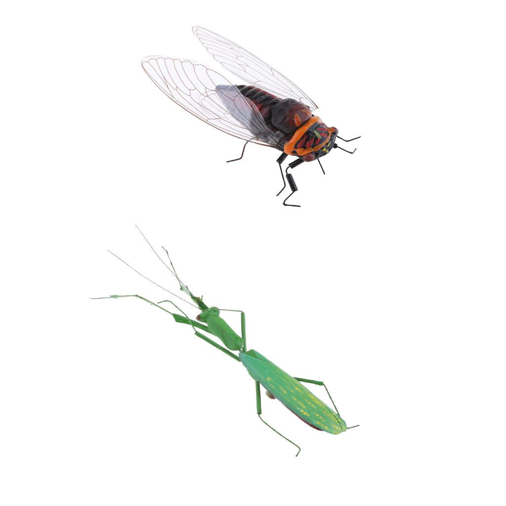 2 x Vivid Insect Animal Statue Wall Hanging Art Garden Decor Mantis & Cicada