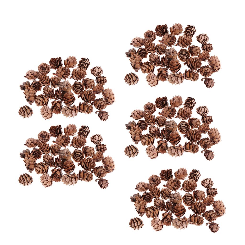 150Pcs Real Natural Small Pine Cones in Bulk for Accents Decoration Ornament