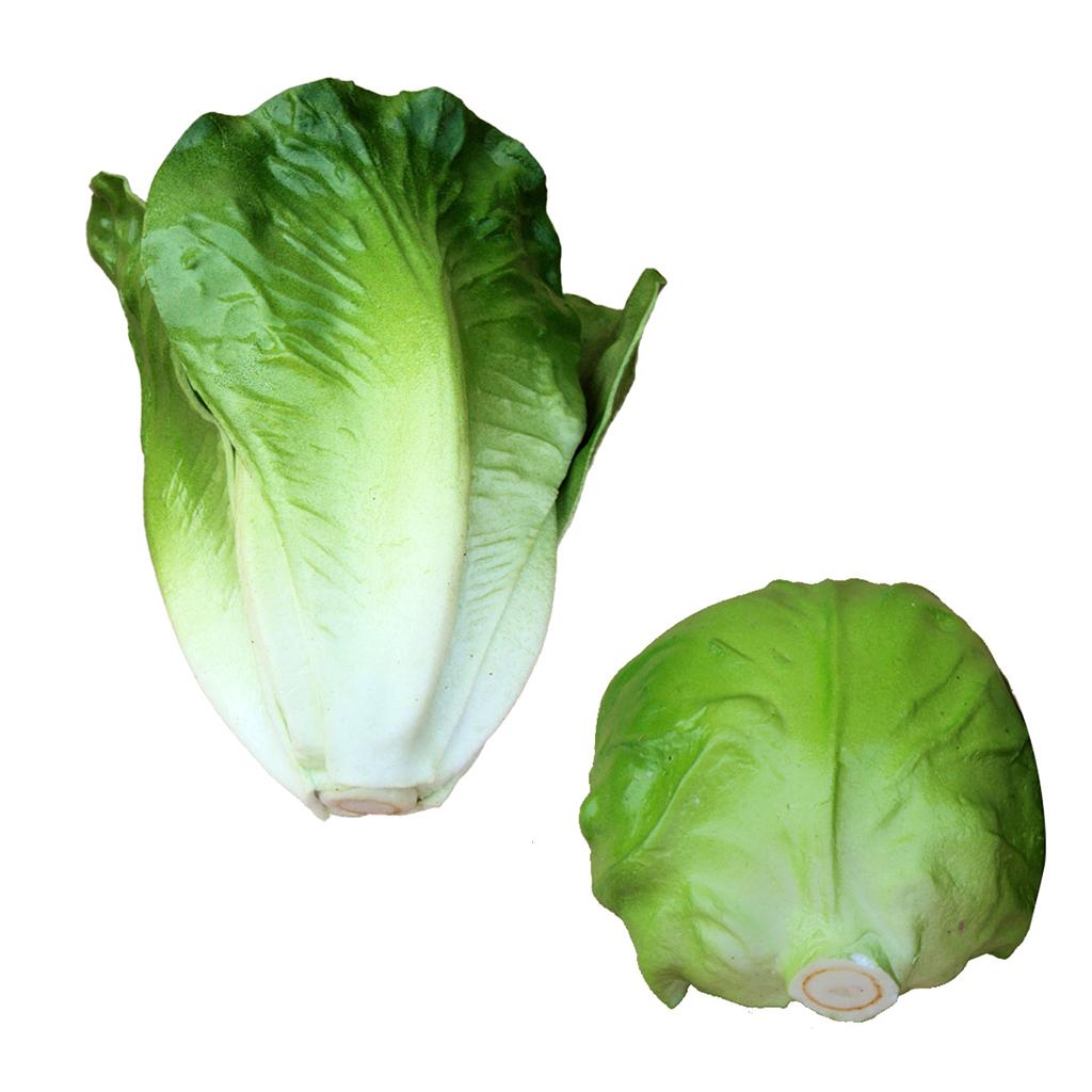Artificial Green Cabbage Lettuce Toy Imitation Food Home Display Decor