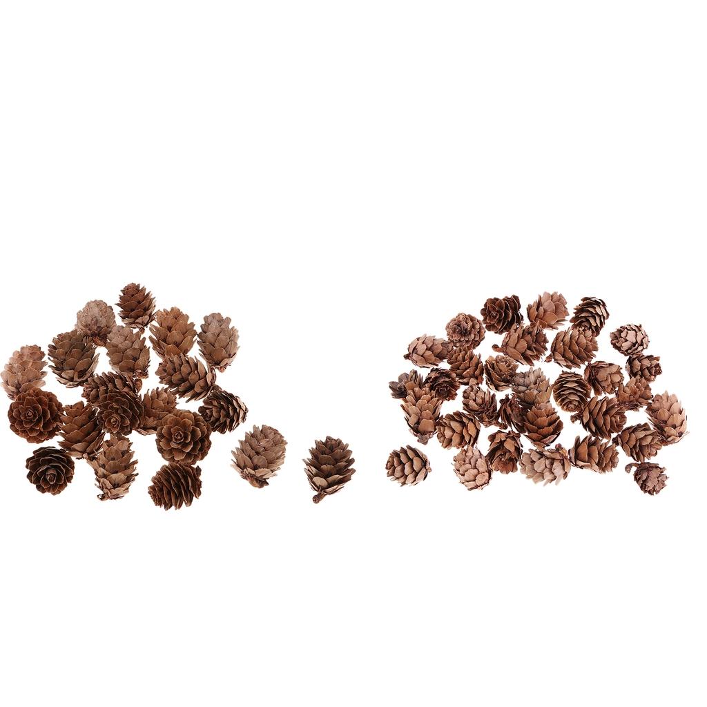 20 Pieces Big Pine Cones 2.5CM,3CM, 30 Pieces Small Pine Cones 1CM,1.5CM