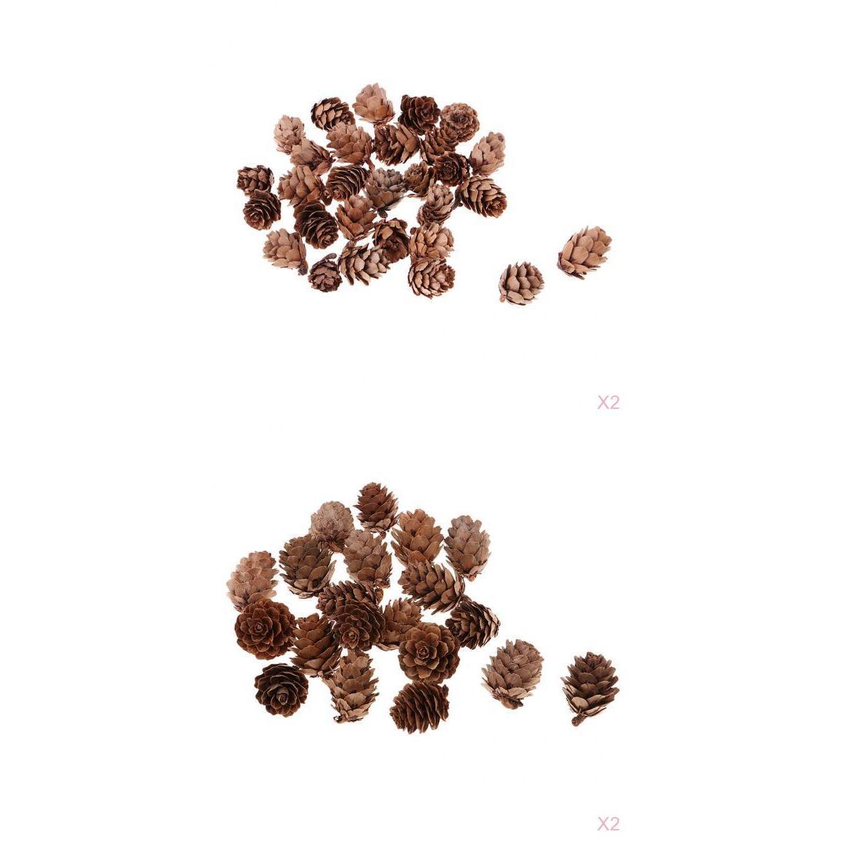 100Pcs Real Natural Small Pine Cones in Bulk for Accents Decoration Ornament