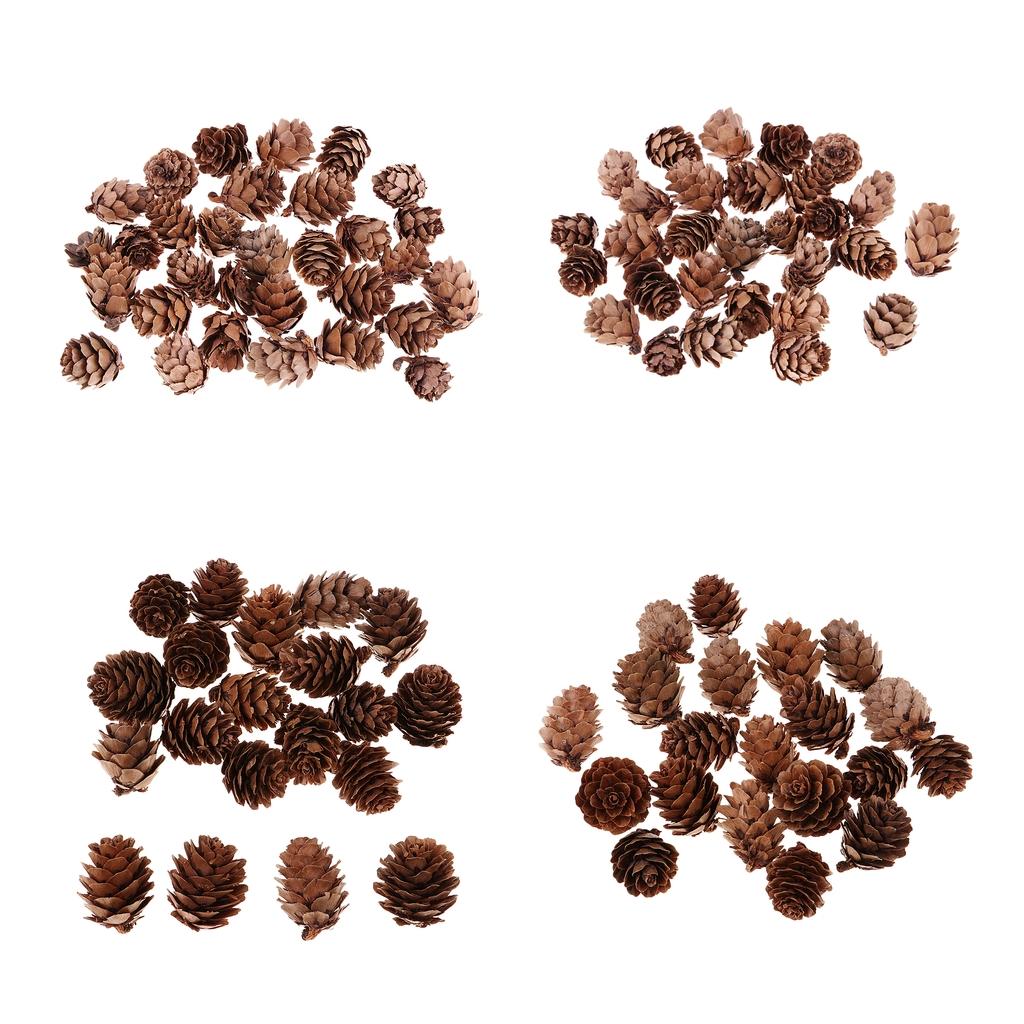 100Pcs Real Natural Small Pine Cones in Bulk for Accents Decoration Ornament