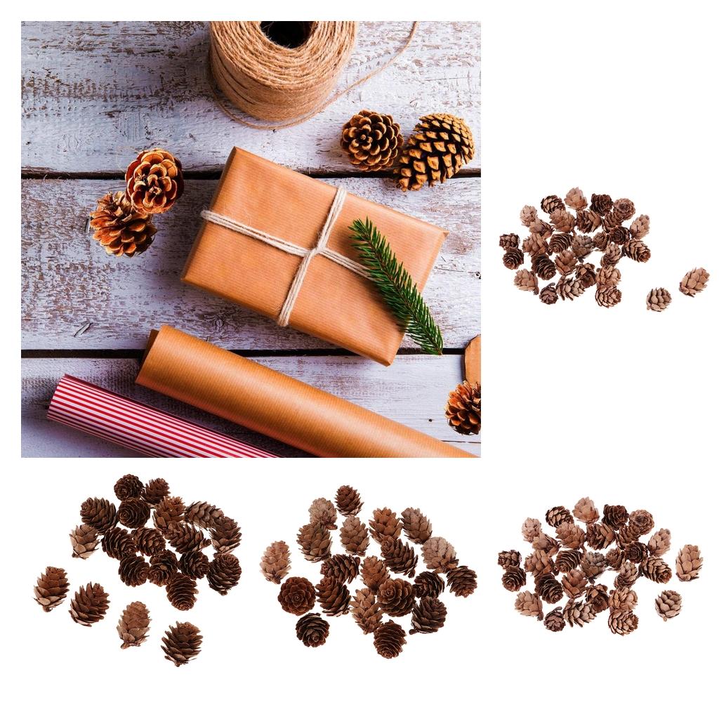 100Pcs Real Natural Small Pine Cones in Bulk for Accents Decoration Ornament