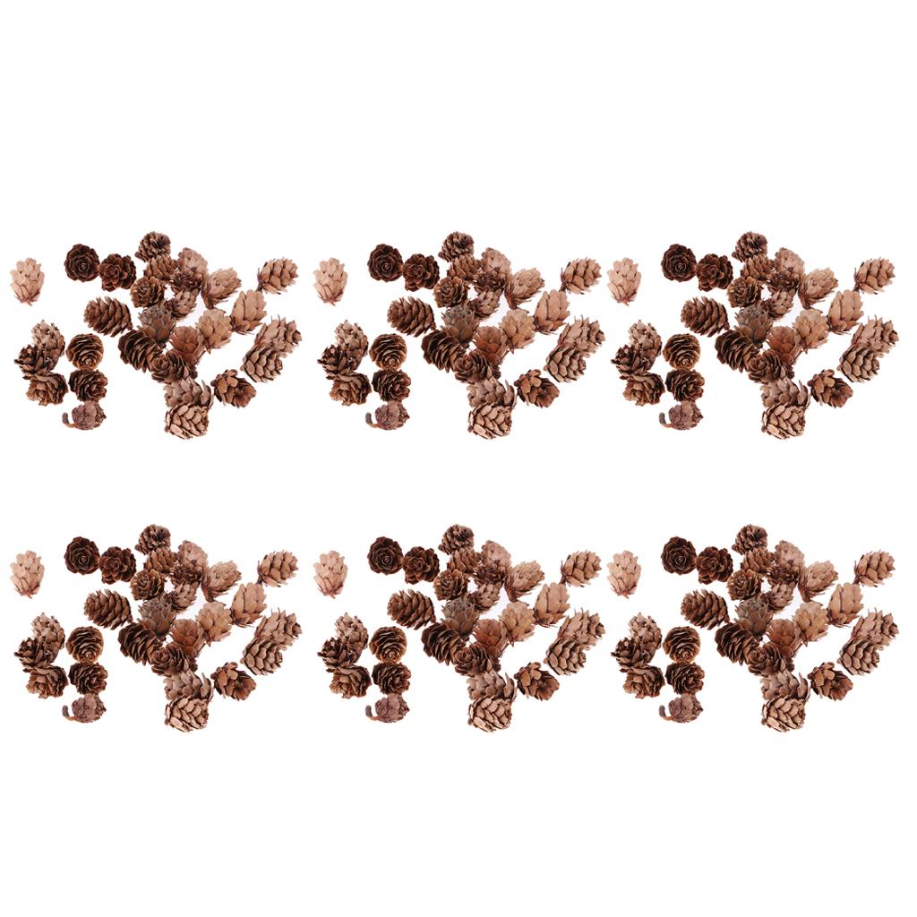 180Pcs Real Natural Small Pine Cones in Bulk for Accents Decoration Ornament