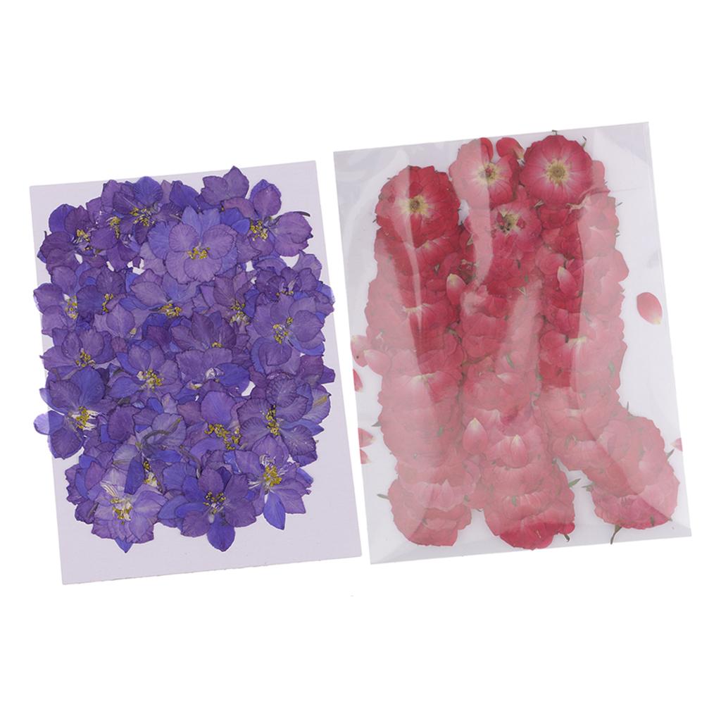 100 Pieces Pressed Dried Flowers for Art Craft Scrapbooking Delphinium&Rose