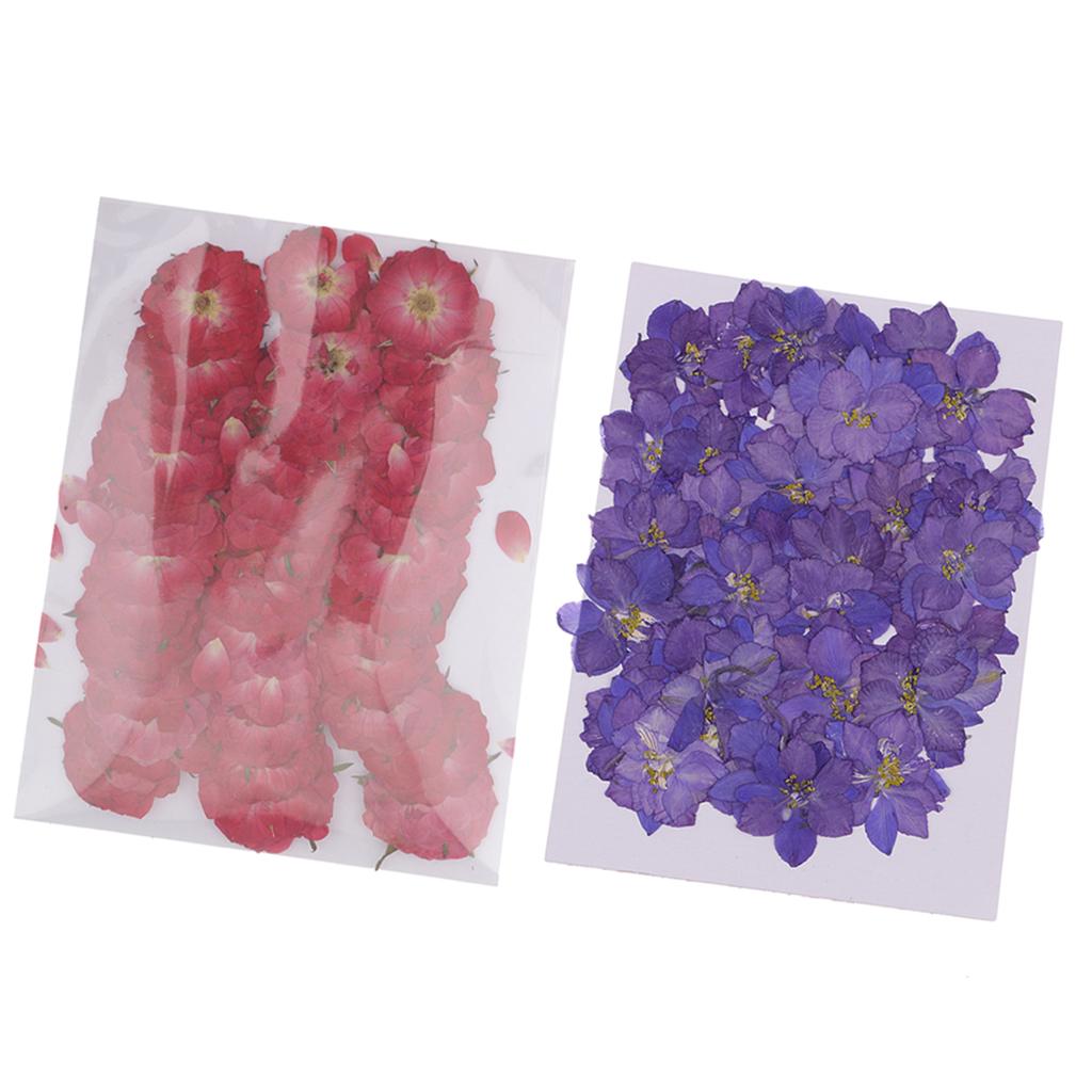 100 Pieces Pressed Dried Flowers for Art Craft Scrapbooking Delphinium&Rose