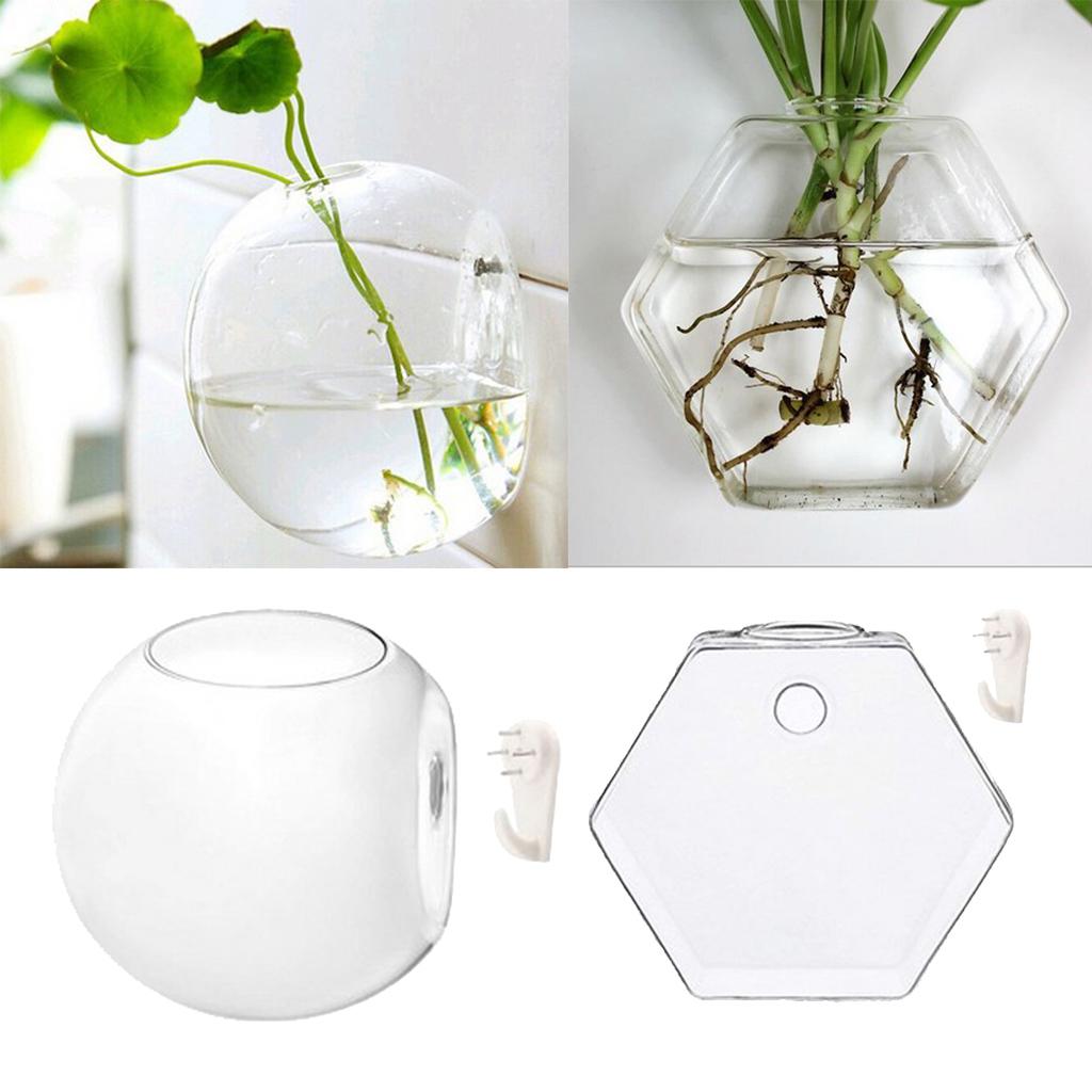 4x Wall Hanging Planter Glass Hydroponic Vase Plant Pot Terrarium Ball&Hex