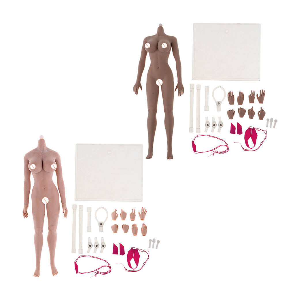 2 Pieces 1:6 Scale Super Flexible European Shape Female Seamless Body