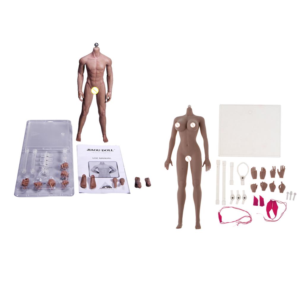 1/6 Scale Super Flexible Seamless Body with Skeleton + Female Seamless Body