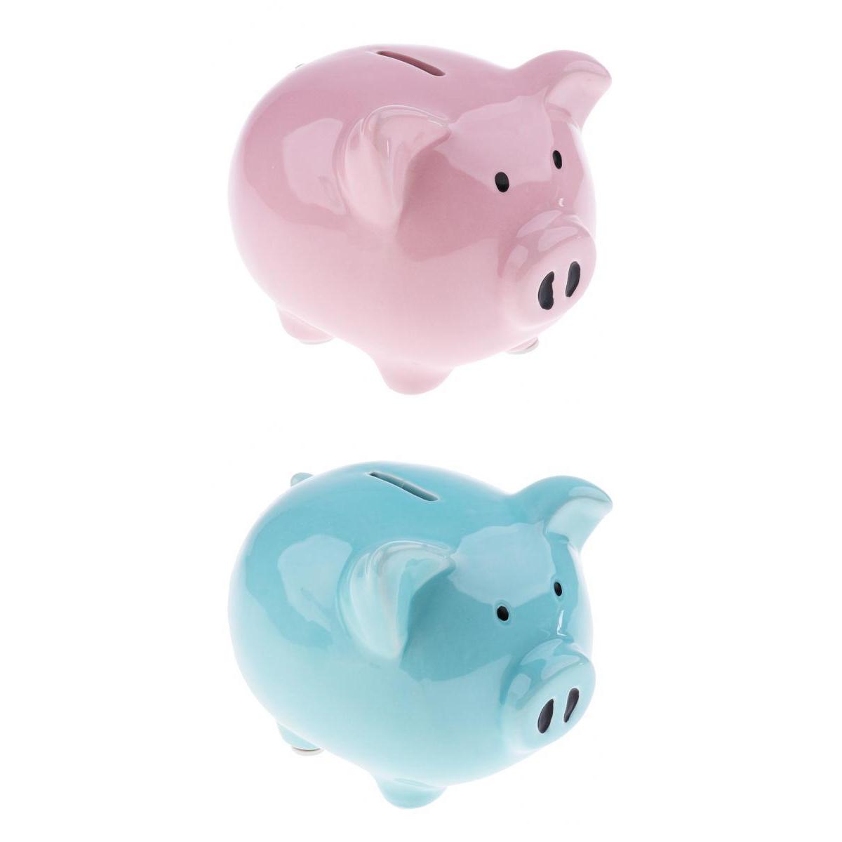 2Pcs Baby Ceramic Piggy Bank Coin Money Cash Collectible Saving Box Pig