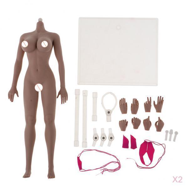 2pcs 1:6 Super Flexible European Shape Female Seamless Body New Wheat Skin