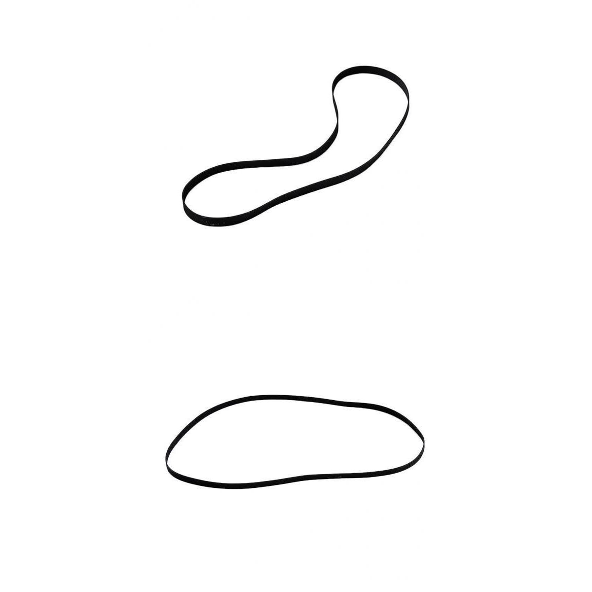 2pcs Phonograph VCR Record Player Disc Drive Belt Turntable Belt 156mm+172mm