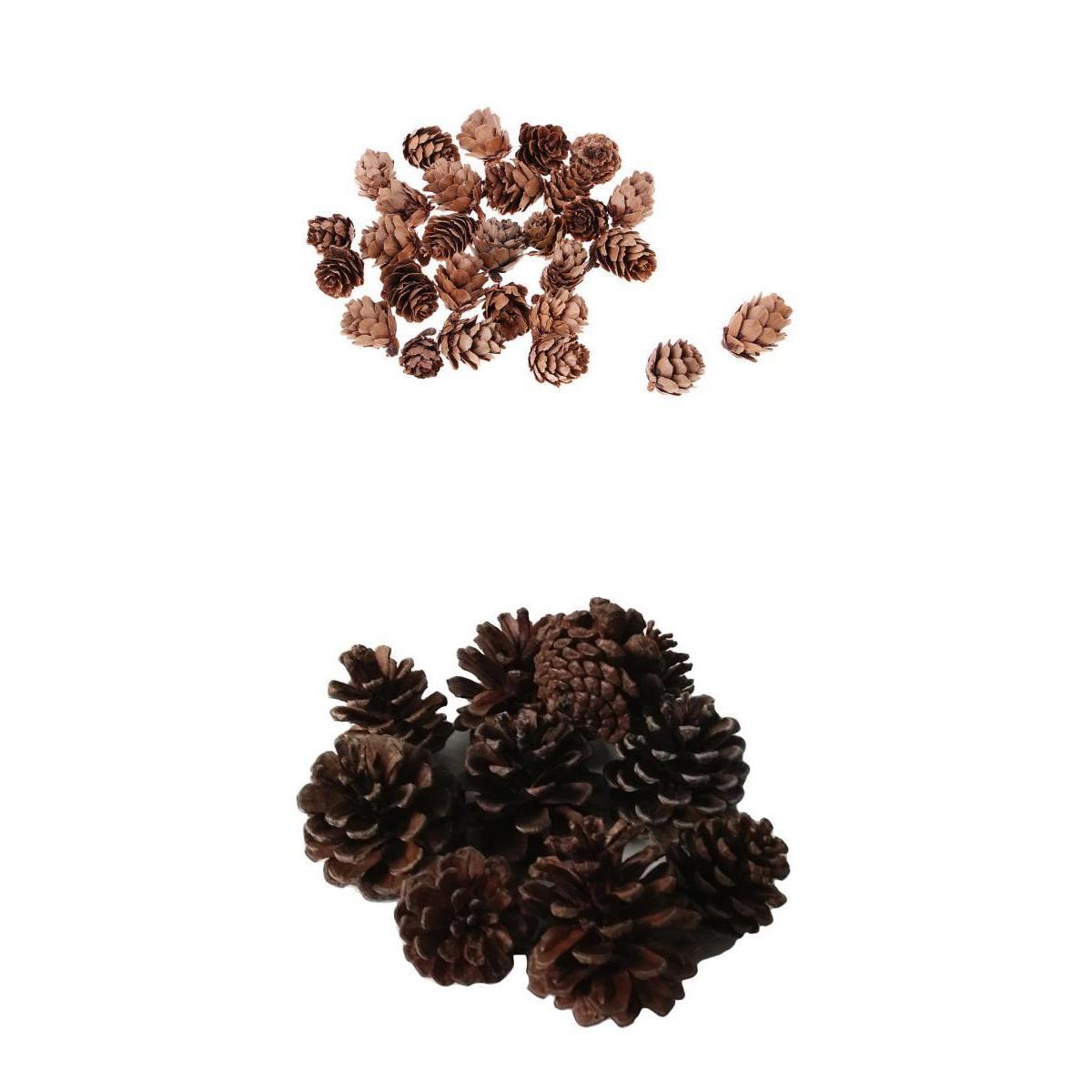 40 Pcs Real Natural Small Pine Cones in Bulk for Accents Decoration Ornament