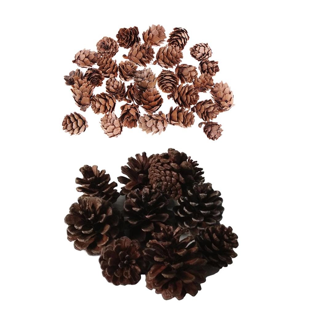 40 Pcs Real Natural Small Pine Cones in Bulk for Accents Decoration Ornament