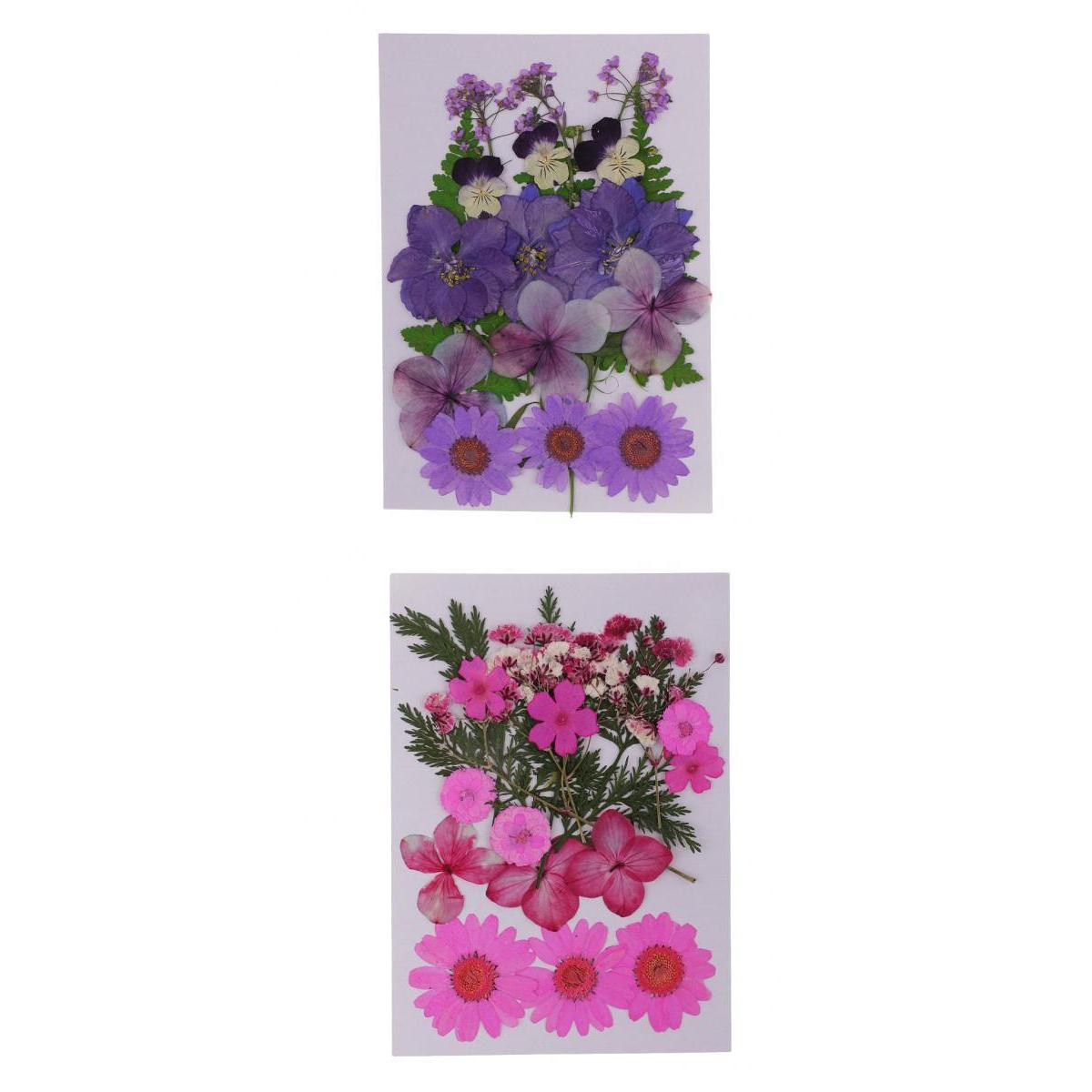 2 Pack Multi Natural Pressed Dried Flowers Leaves DIY Art Craft Decorations