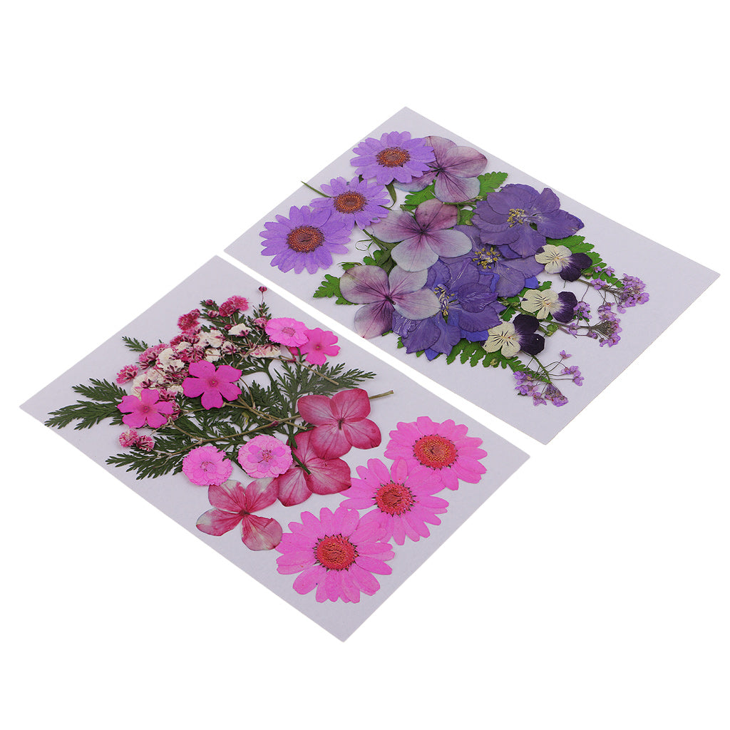 2 Pack Multi Natural Pressed Dried Flowers Leaves DIY Art Craft Decorations