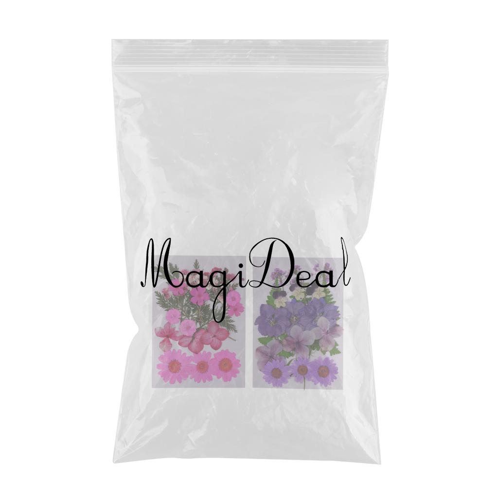 2 Pack Multi Natural Pressed Dried Flowers Leaves DIY Art Craft Decorations