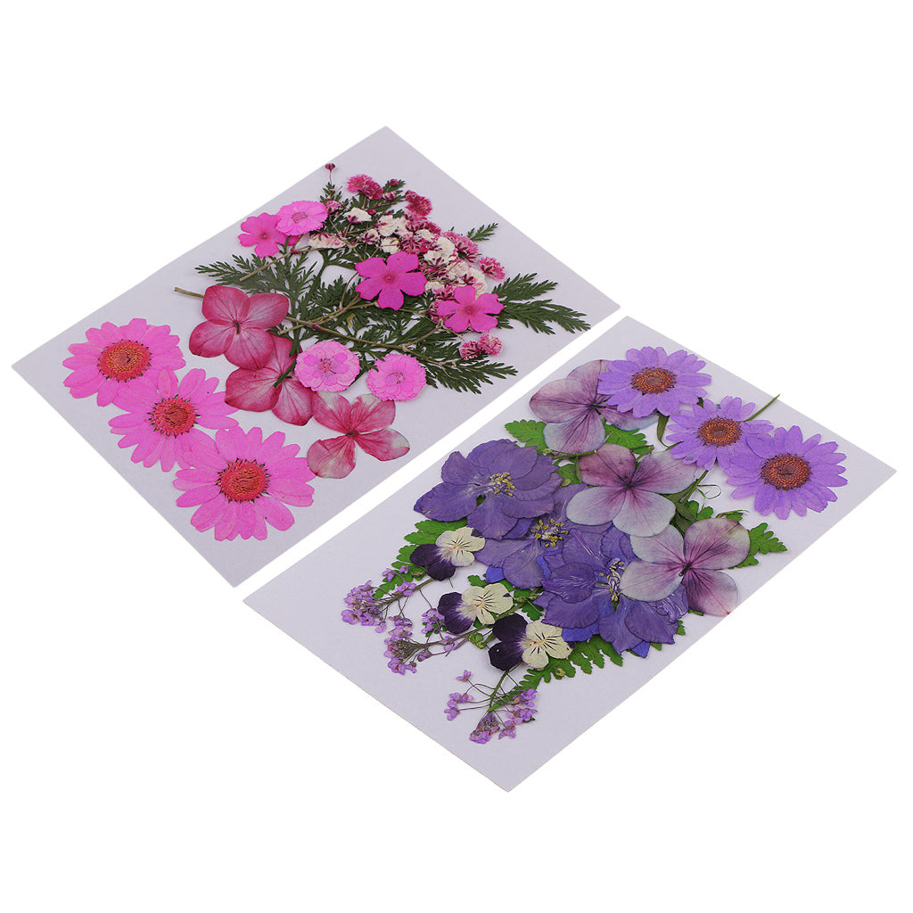 2 Pack Multi Natural Pressed Dried Flowers Leaves DIY Art Craft Decorations