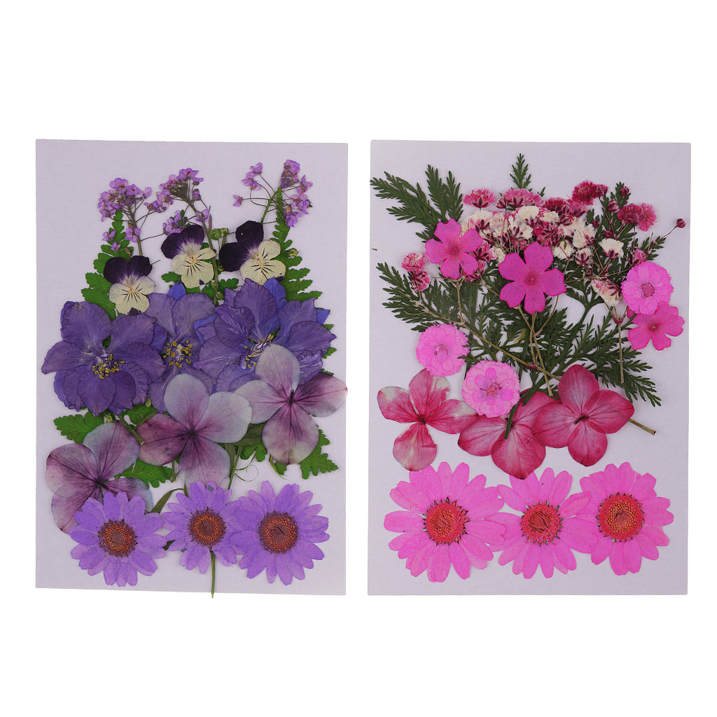 2 Pack Multi Natural Pressed Dried Flowers Leaves DIY Art Craft Decorations