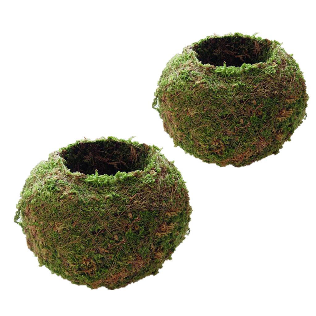 2Piece Creative Moss Ball Flower Pot Planter Bonsai Plant Holder Home Garden