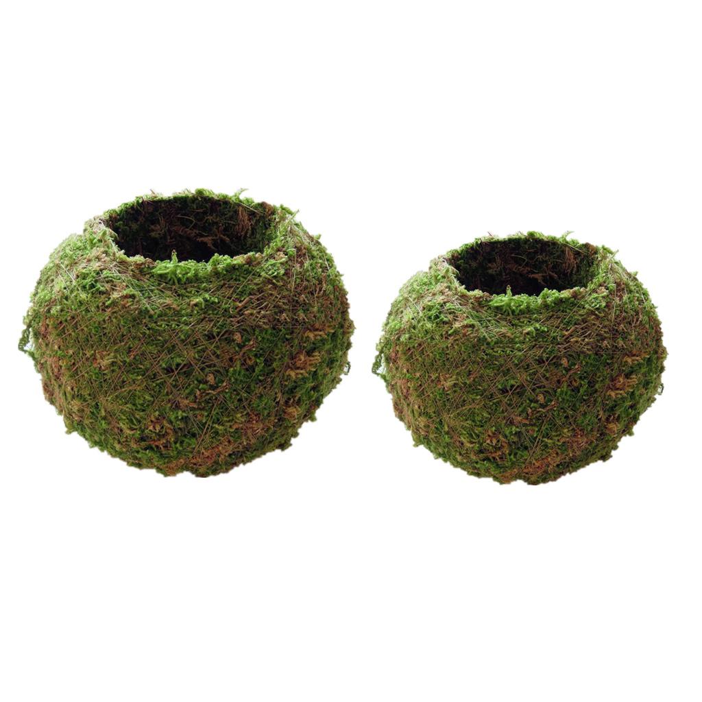 2Piece Creative Moss Ball Flower Pot Planter Bonsai Plant Holder Home Garden