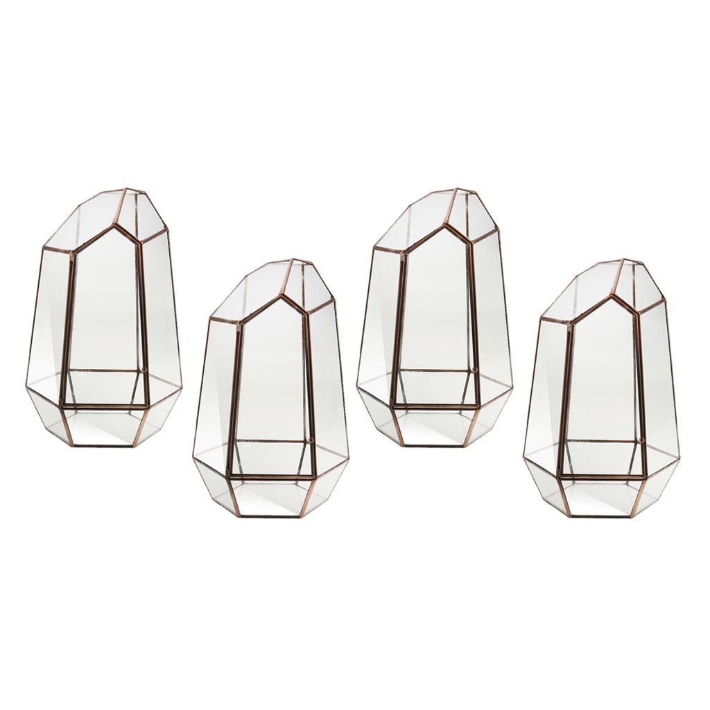 4 Irregular Glass Geometric Terrarium Box Tabletop Succulent Plant Planter