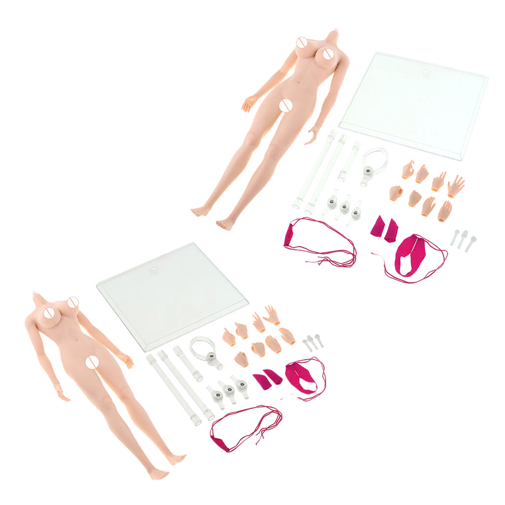 2pcs 1:6 Super Flexible European Shape Female Seamless Body Normal Skin