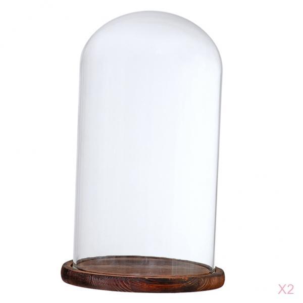 2xGlass Dome Cloche w/Wood Base Flower Landscape Holder Glass Cover Brown F