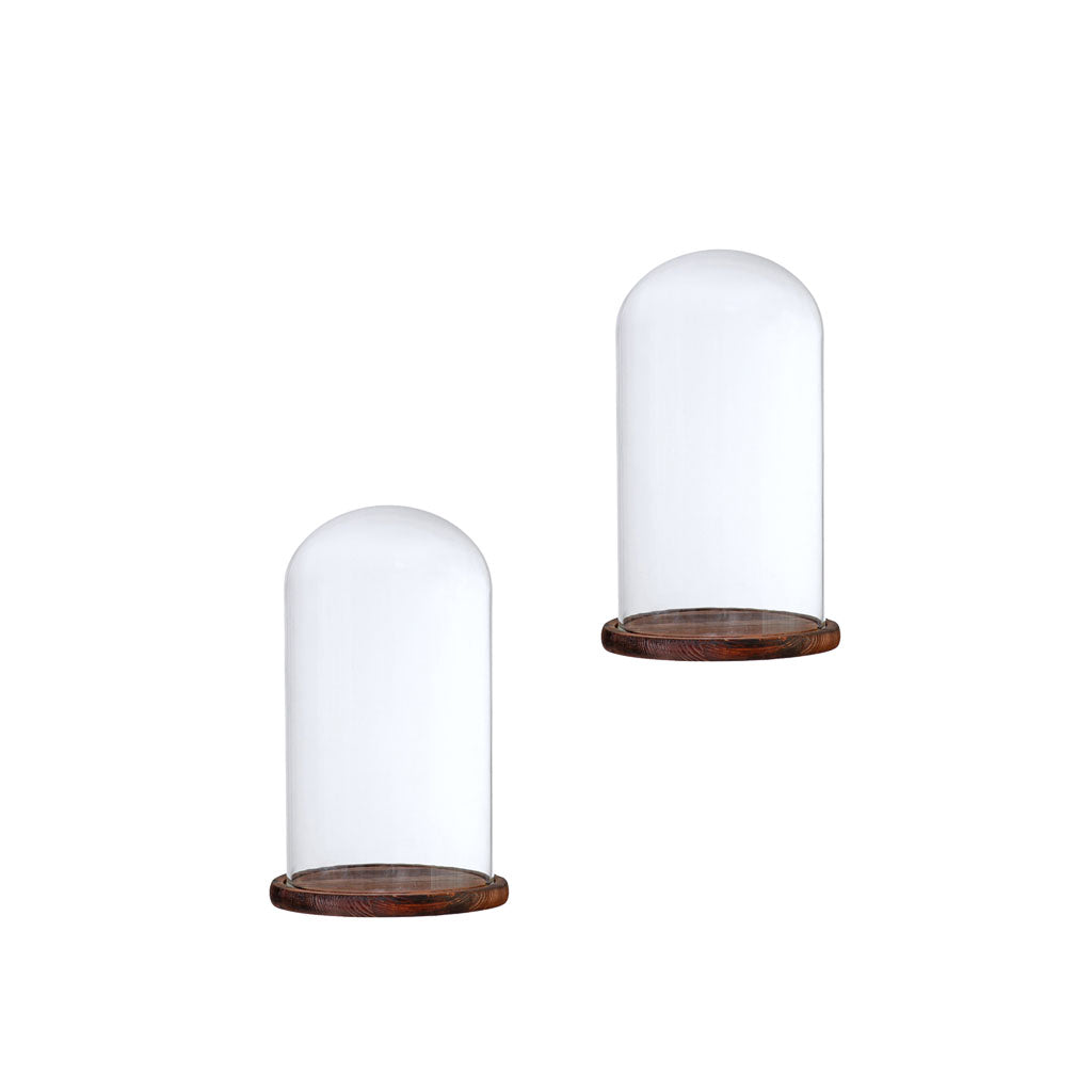 2xGlass Dome Cloche w/Wood Base Flower Landscape Holder Glass Cover Brown F