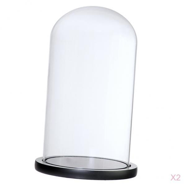 2xGlass Dome Cloche w/Wood Base Flower Landscape Holder Glass Cover Black G