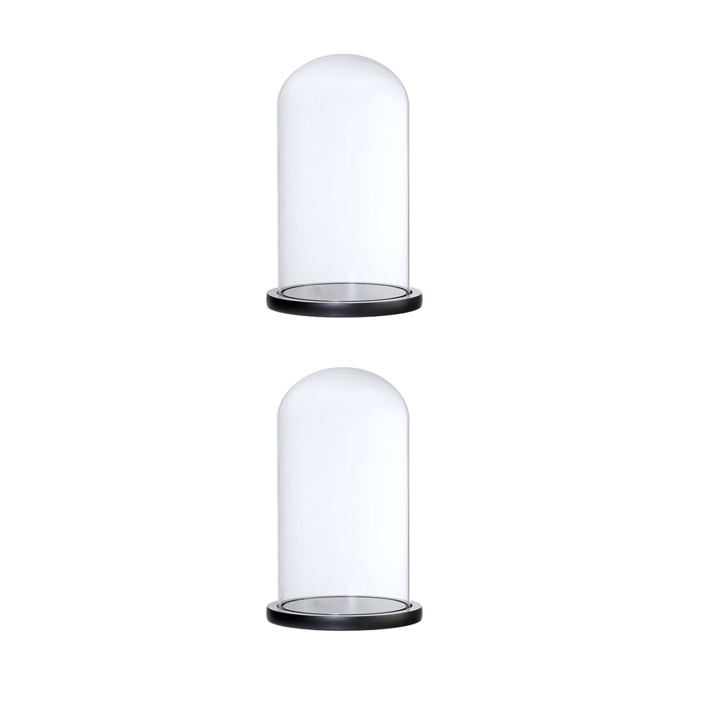 2xGlass Dome Cloche w/Wood Base Flower Landscape Holder Glass Cover Black G