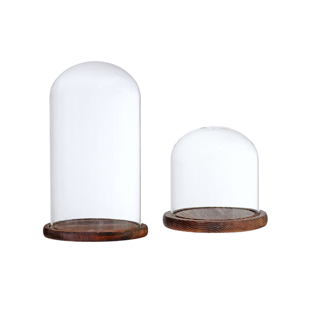 2xGlass Dome Cloche Flower Landscape Holder Glass Cover Brown 2 Siez