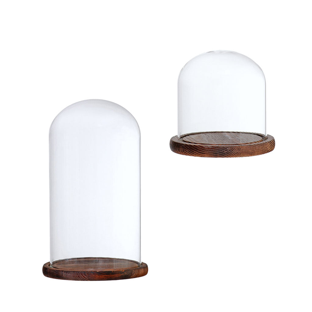 2xGlass Dome Cloche Flower Landscape Holder Glass Cover Brown 2 Siez