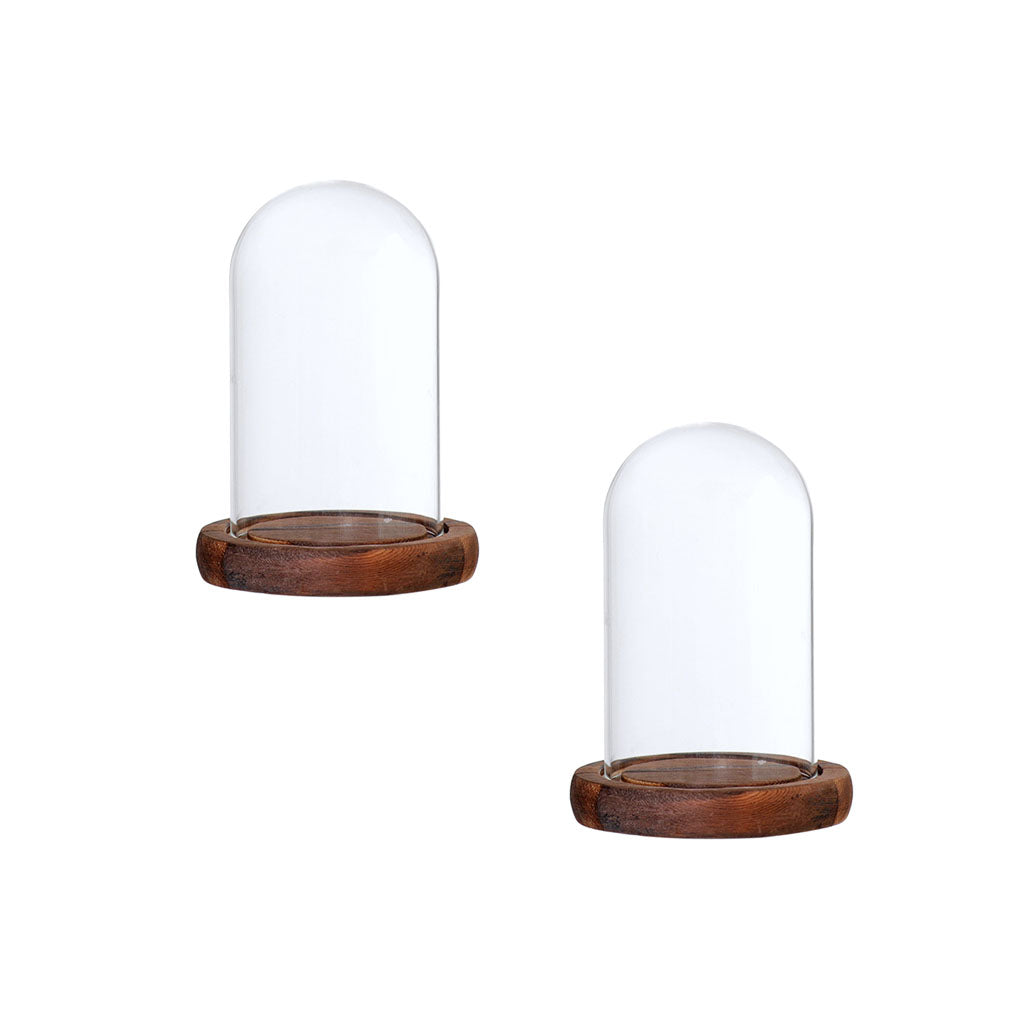 2xGlass Dome Cloche with Base Flower Landscape Holder Glass Cover Brown A
