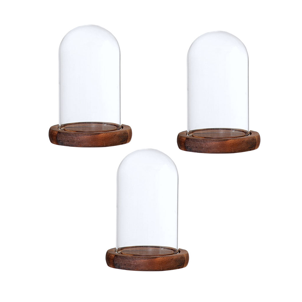 3xGlass Dome Cloche with Base Flower Landscape Holder Glass Cover Brown A