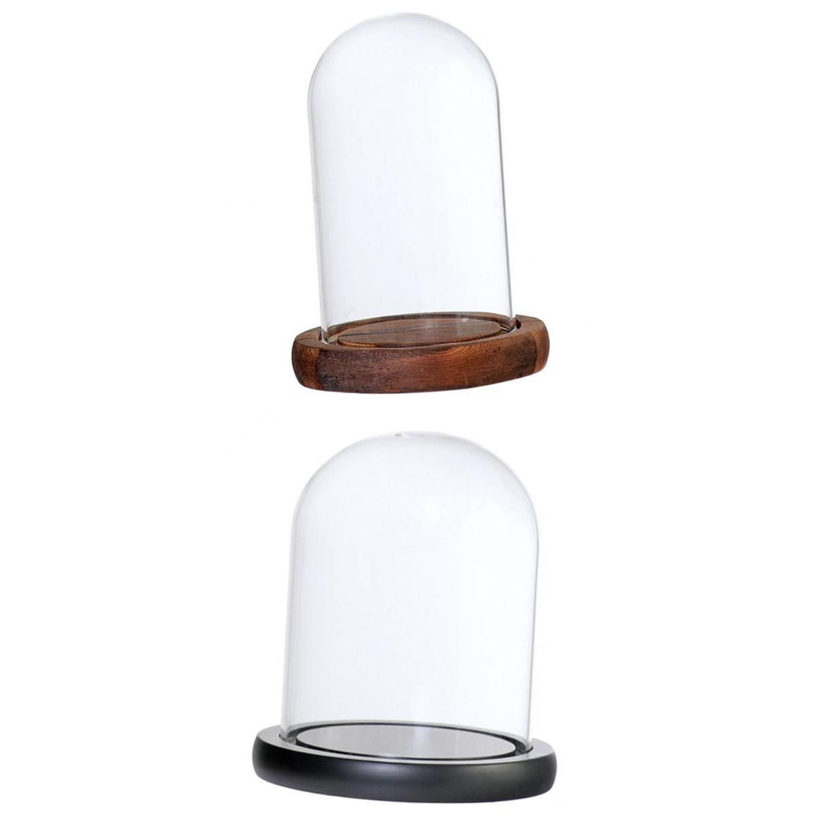 2xGlass Dome Cloche Flower Landscape Holder Glass Cover 2Color