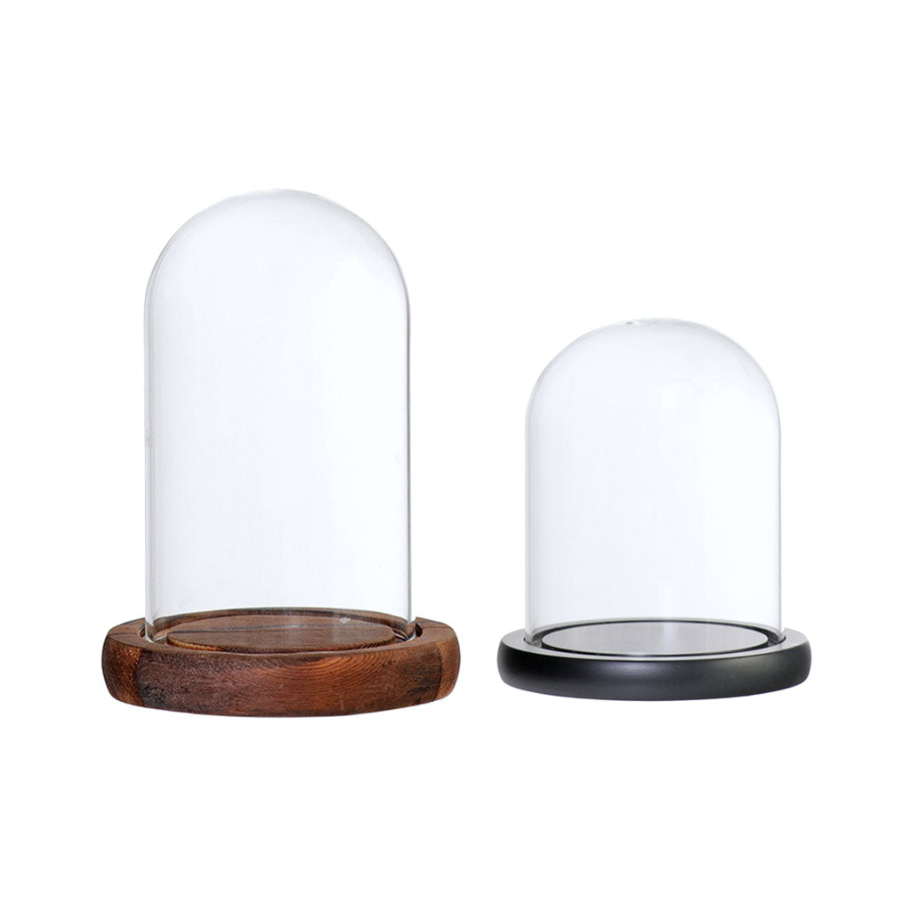 2xGlass Dome Cloche Flower Landscape Holder Glass Cover 2Color