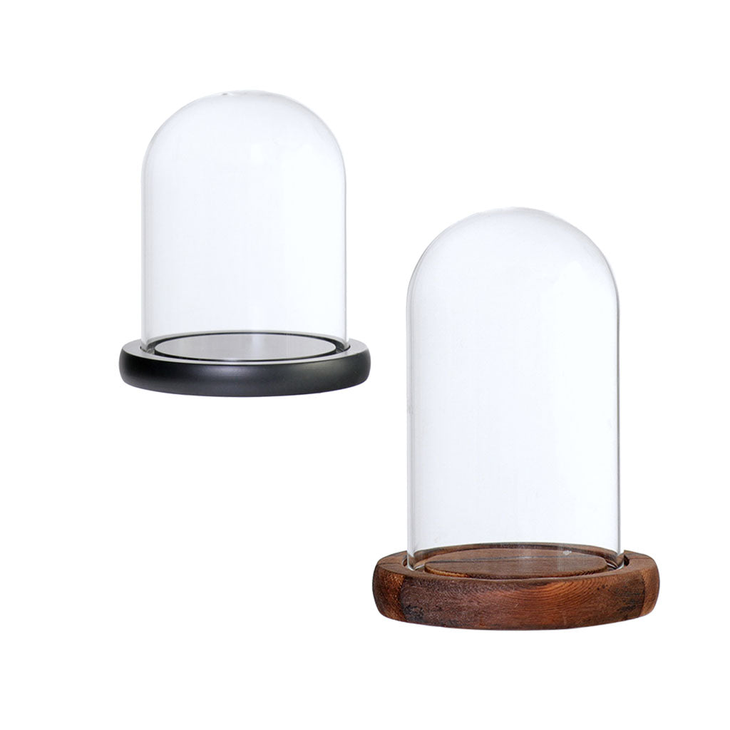 2xGlass Dome Cloche Flower Landscape Holder Glass Cover 2Color