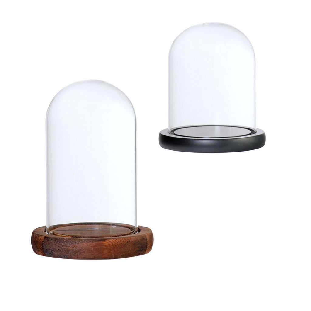 2xGlass Dome Cloche Flower Landscape Holder Glass Cover 2Color