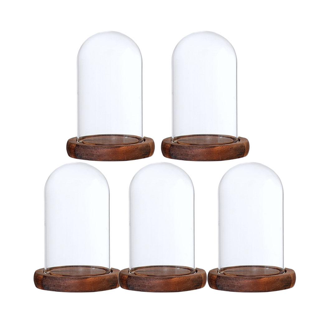 5xGlass Dome Cloche with Base Flower Landscape Holder Glass Cover Brown A