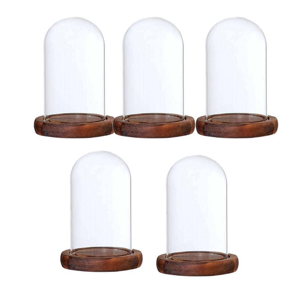 5xGlass Dome Cloche with Base Flower Landscape Holder Glass Cover Brown A