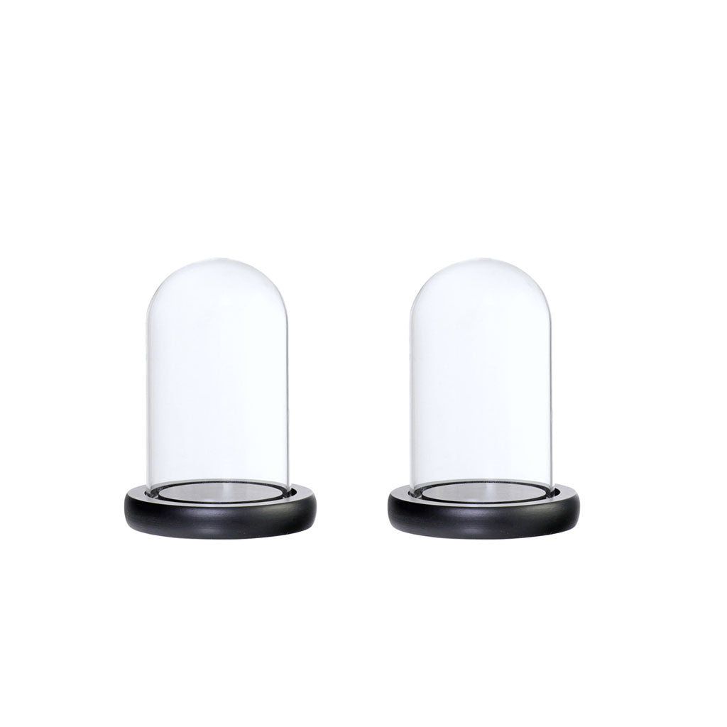 2xGlass Dome Cloche with Base Flower Landscape Holder Glass Cover Black A