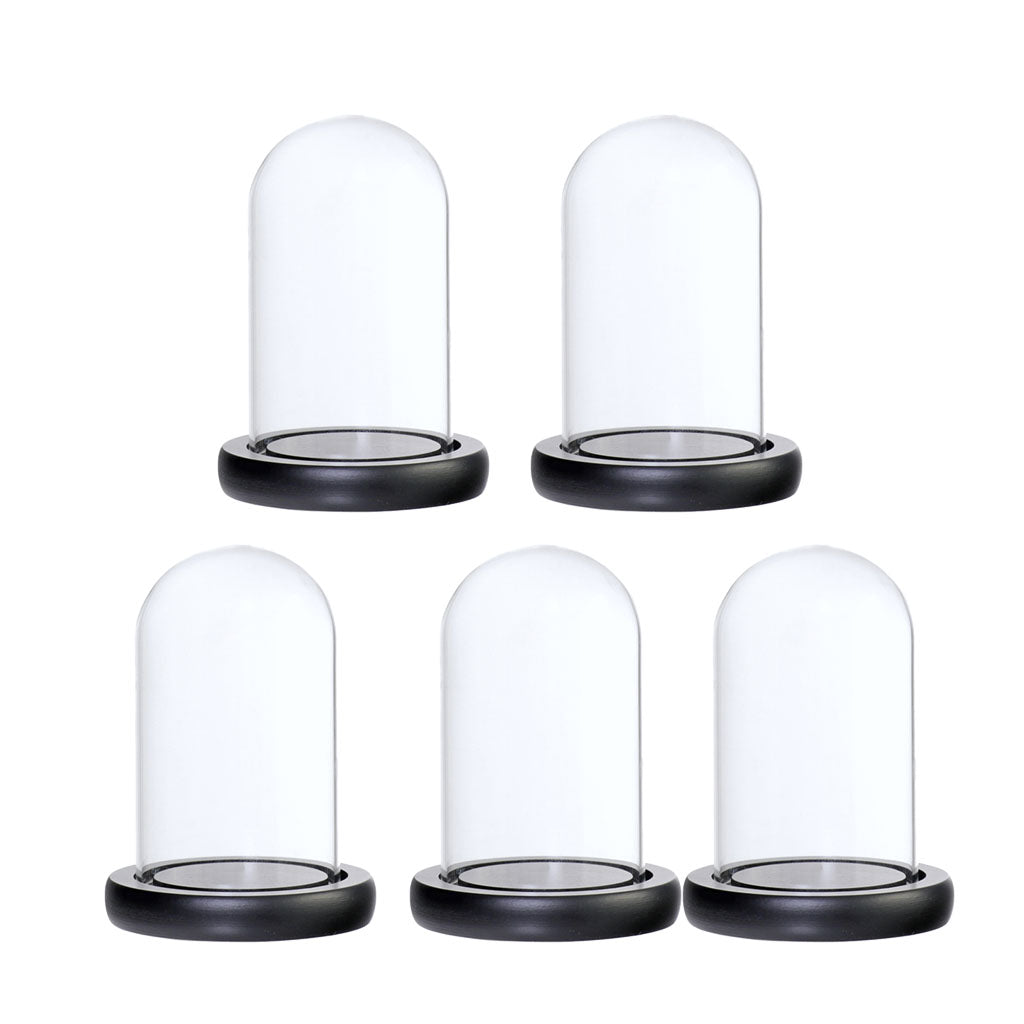 5xGlass Dome Cloche with Base Flower Landscape Holder Glass Cover Black A