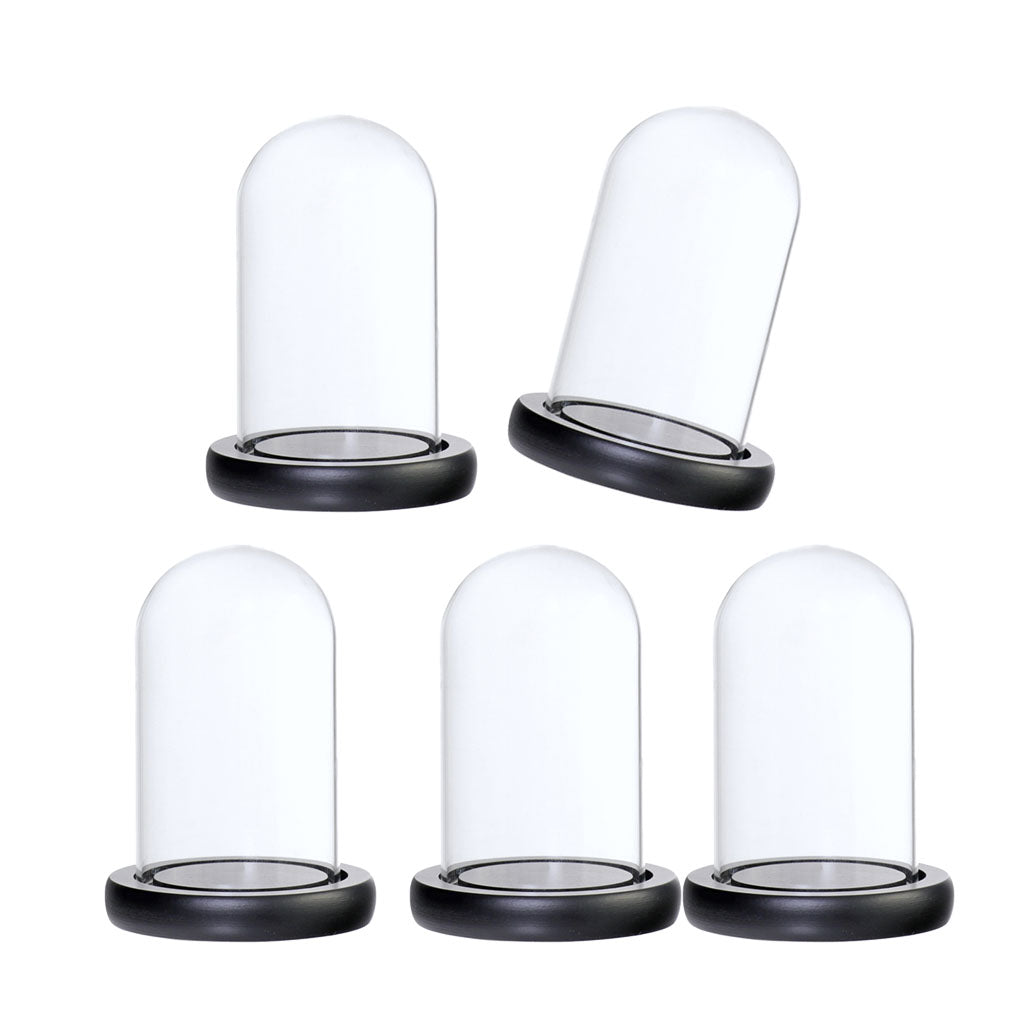 5xGlass Dome Cloche with Base Flower Landscape Holder Glass Cover Black A