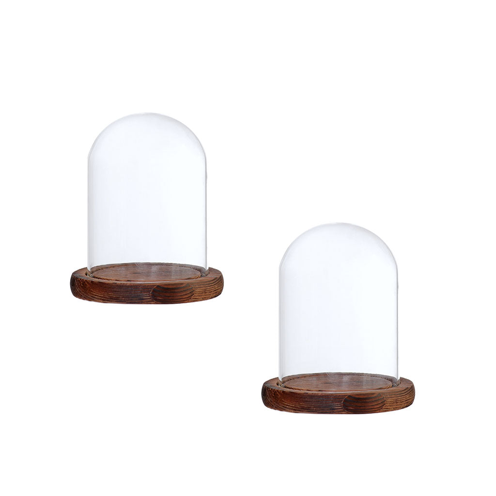 2xGlass Dome Cloche with Base Flower Landscape Holder Glass Cover Brown B