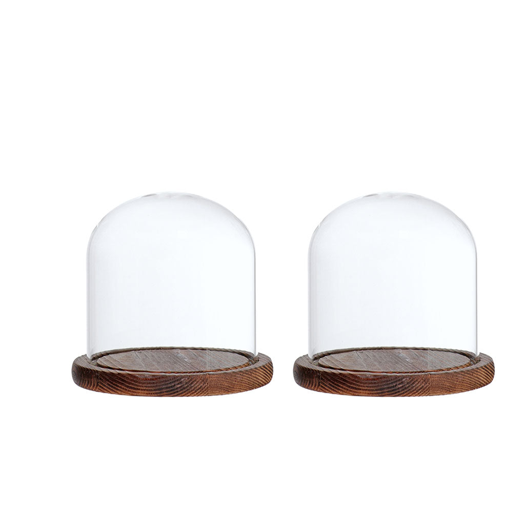 2xGlass Dome Cloche with Base Flower Landscape Holder Glass Cover Brown E