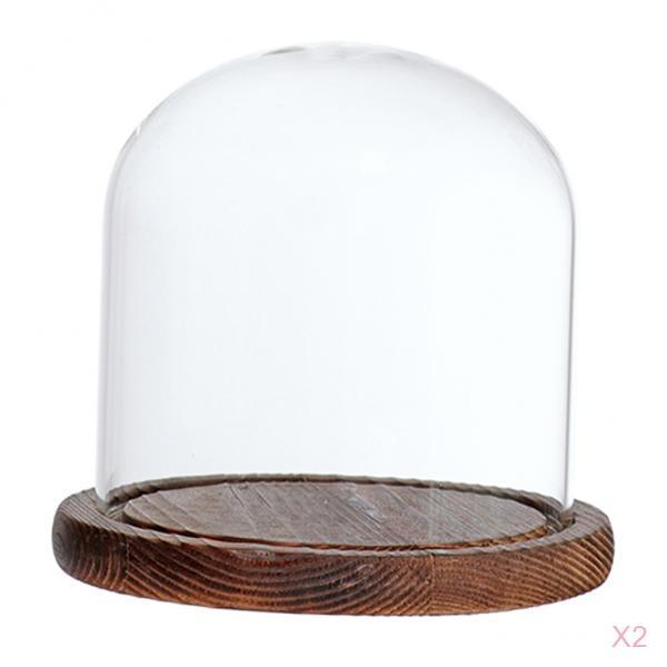 2xGlass Dome Cloche with Base Flower Landscape Holder Glass Cover Brown E