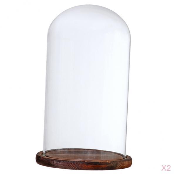 2xGlass Dome Cloche with Base Flower Landscape Holder Glass Cover Brown G