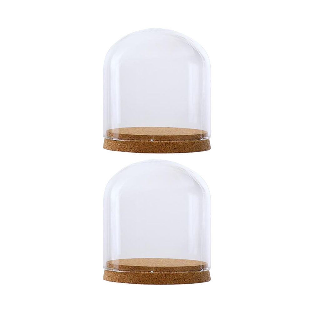 2xClear Glass Cloche Dome Cover Landscape Terrarium Container with Base S