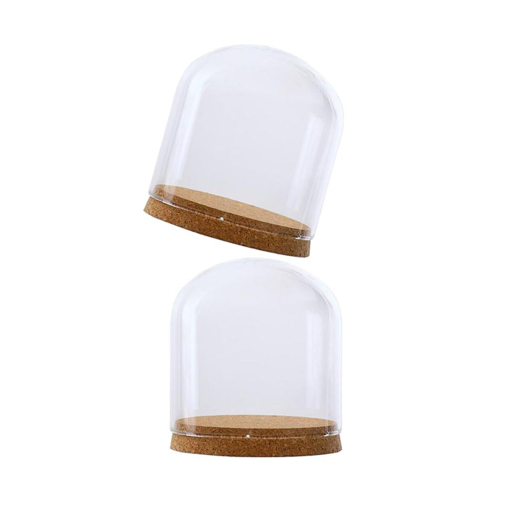 2xClear Glass Cloche Dome Cover Landscape Terrarium Container with Base S